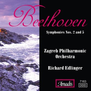 Symphony No. 5 in C Minor, Op. 67: III. Allegro