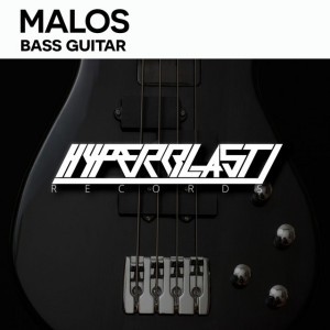 Bass Guitar