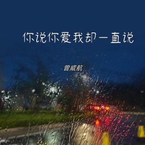 你说你爱我却一直说