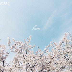 Petrichor