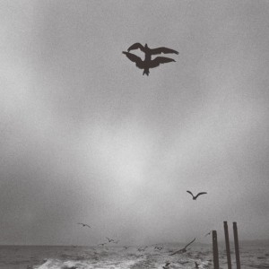 Images of Broken Light