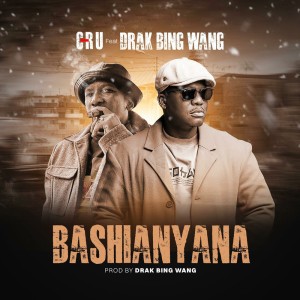 Bashinyana - Drak Remix Radio Edit by C-Ru & Drak