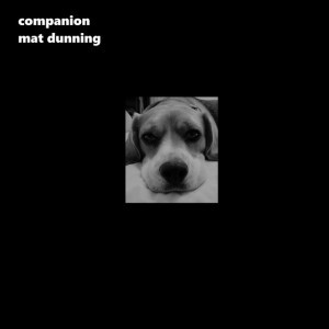 Companion