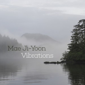 Vibrations