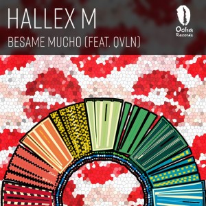 Besame Mucho (feat. QVLN)