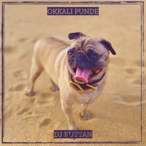 Okkali Punde