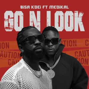 Go n Look