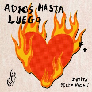 ADIOS HASTA LUEGO