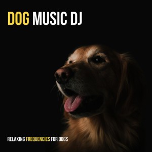 432 Hz For Anxious Dogs