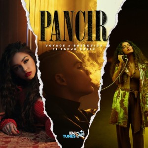 Pancir (feat. Tanja Savic)