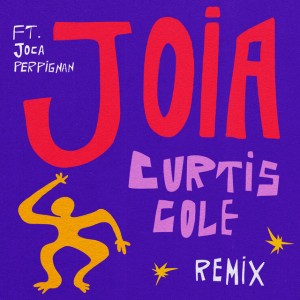 Carnaval Chegou - Curtis Cole Remix - Instrumental Version