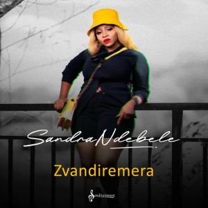 Zvandiremera by Sandra Ndebele