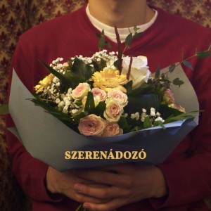 Szerenádozó I. by TELEHOLD