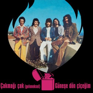 Güneşe Dön Çiçeğim