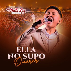 Ella No Supo Querer