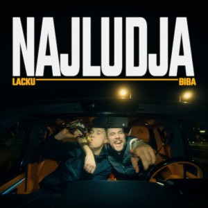 Najludja