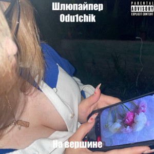 На вершине