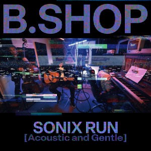 Sonix Run - Acoustic and Gentle