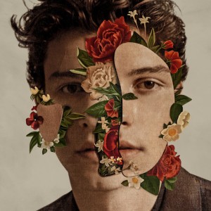 Señorita by Shawn Mendes & Camila Cabello