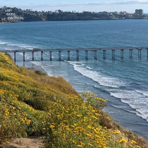 California Waves