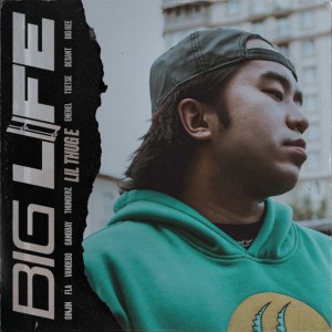 Big Life (feat. Ginjin, FLA, Vandebo, GangBay, ThunderZ, Enerel, Desant & Big Gee)