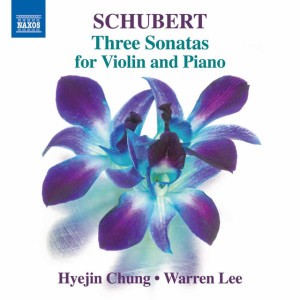 Violin Sonata in A Minor, Op. 137 No. 2, D. 385: I. Allegro moderato