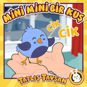Mini Mini Bir Kuş