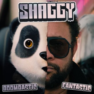 Boombastic (Fantastic) by Shaggy