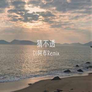 猜不透 - DJ阿布Remix版