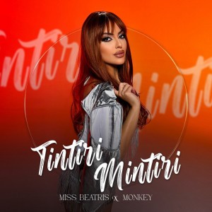 Tintiri Mintiri