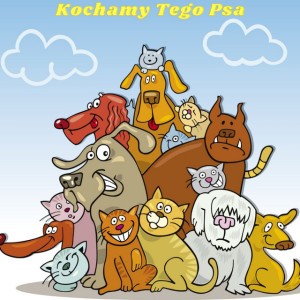 Kochamy tego psa
