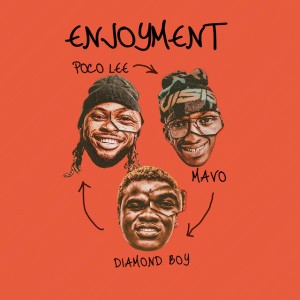 ENJOYMENT