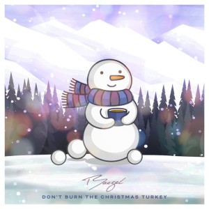 Don’t Burn the Christmas Turkey