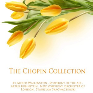 Nocturnes, Op. 9: No. 1 in B-Flat Minor
