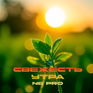 Свежесть утра