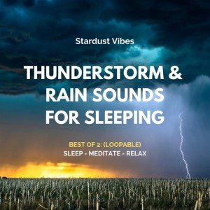 Rain and Heavy Wind Sounds with Distant Thunder and Ocean Waves