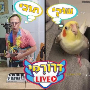שוקי תוכי