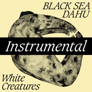 In Case I Fall For You - Instrumental