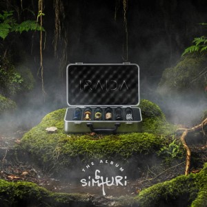 Ultimul Act De Iubire by IRAIDA