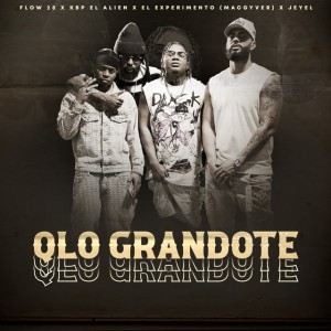 Qlo Grandote