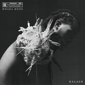Mwaka Moon by Kalash & Damso