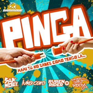 Pinga - Radio Mix
