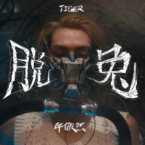 脫兔