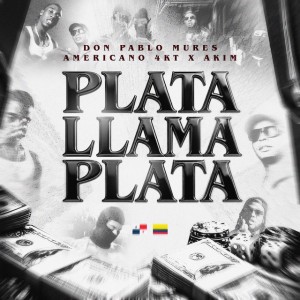 Plata Llama Plata