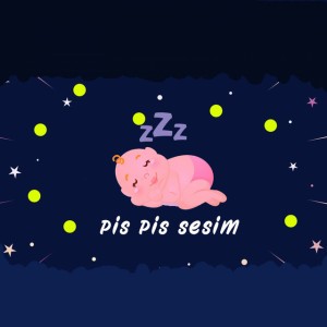 Pis Pis Ninnisi Ve Araba Sesi