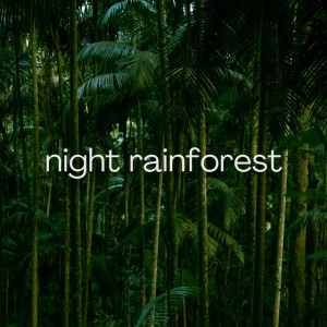 Night Rainforest