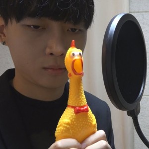 Faded (Chicken Band Ver)