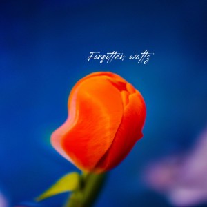 Forgotten waltz