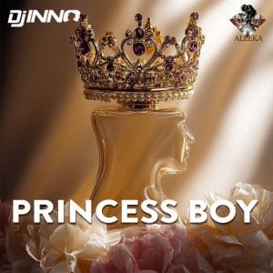 Princess Boy by DJ Inno & Aleeka