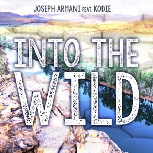 Into the Wild - Instrumental Mix